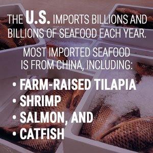 how much food does us import