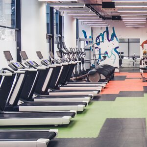 Imported gym online equipment