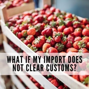 What if my import does not clear customs