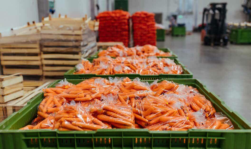 Crates of carrots packaged for exporting.