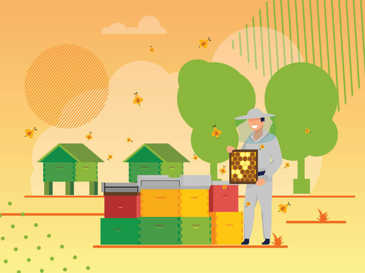 A digital image depicting a beekeeper outside at his apiary, inspecting a section of combo from a hive while several bees fly in the foreground and background.