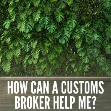 How Can a Customs Broker Help Me