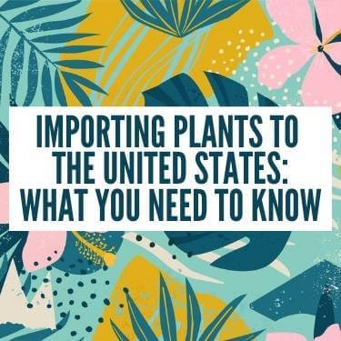 Importing Plants to the United States What You Need to Know