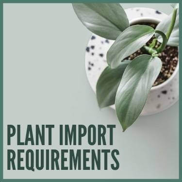 Plant Import Requirements