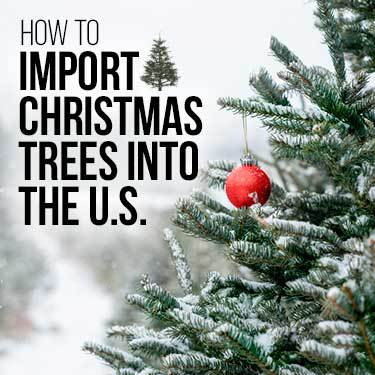 How to Import Christmas Trees Into the U.S.