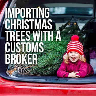 Importing Christmas Trees With a Customs Broker