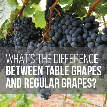 what's-the-difference-between-table-grapes-and-regular-grapes