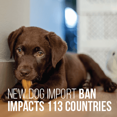 New Dog Import Ban Impacts 113 Countries