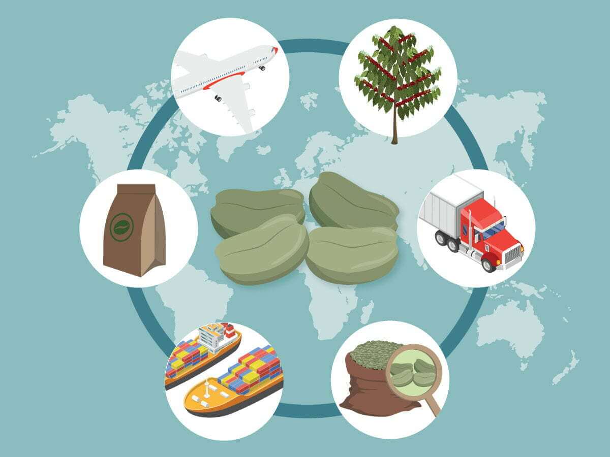 Green coffee beans on a map of the world with all the steps of the supply chain surrounding it