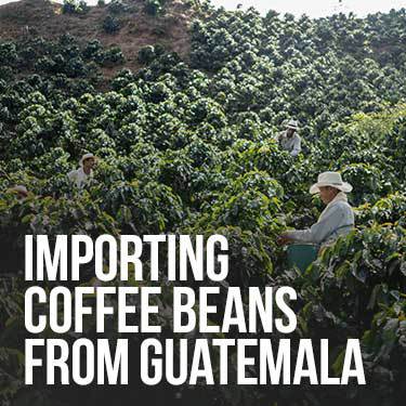 Importing Coffee Beans From Guatemala