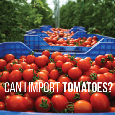 Can I Import Tomatoes?