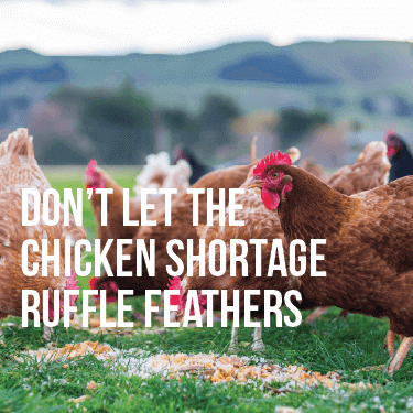 Don’t Let the Chicken Shortage Ruffle Feathers