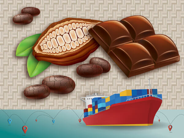 A sliced open cocoa bean, some chocolate, and a container ship