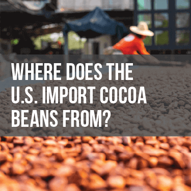 Where Does The U.S. Import Cocoa Beans From?