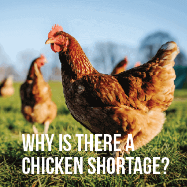 Why Is There a Chicken Shortage?