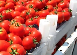 Importing Food-Tomatoes