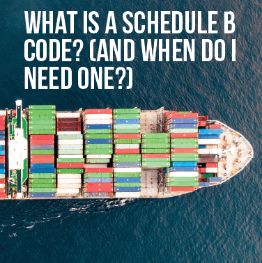 What Is A Schedule B Number? (And How Do I Find One?)