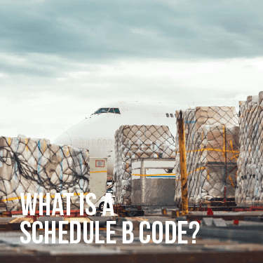 What Is A Schedule B Number? (And How Do I Find One?)