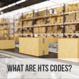 Do I Need an HTS Code for Export? - USA Customs Clearance