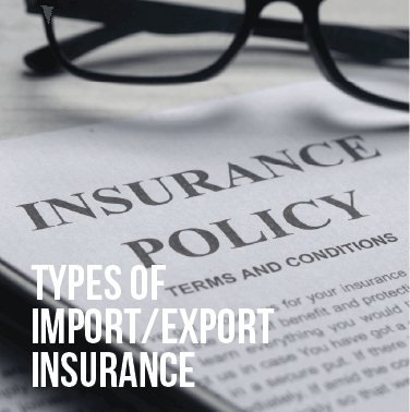 glasses on top of an import export insurance policy contract