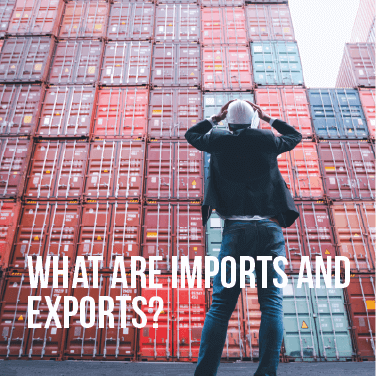 What are Imports and Exports?