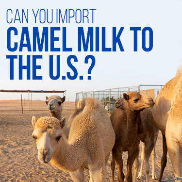 Importing dairy products into us new arrivals