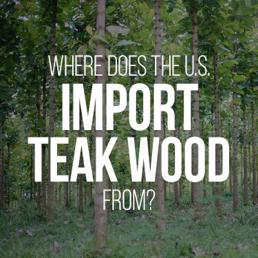 Importing teak wood - Rows of trees in a forest