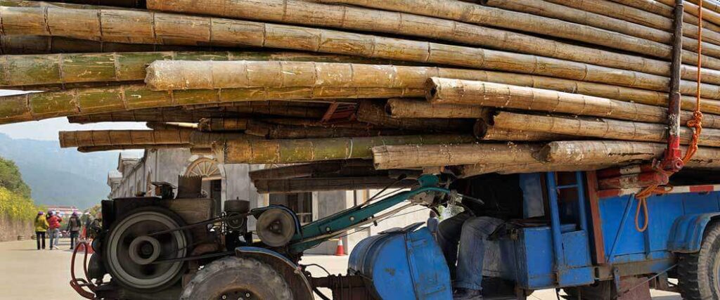 large truck loaded with bamboo logs