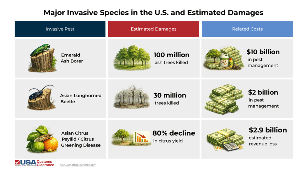 An infographic presenting information about invasive species in the US. The information contained in the graphic reads as follows:

Invasive Pest
Estimated Damages
Related Costs
Emerald Ash Borer
100 million ash trees killed
$10 Billion in pest management
Asian Longhorned Beetle
30 million tress killed
$2 billion in pest management
Asian Citrus Psyllid/Citrus Greening Disease
80% decline in citrus yield
$2.9 billion estimated revenue loss