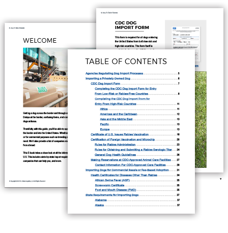 See What's Inside - Sample Dog eBook pages overlapping