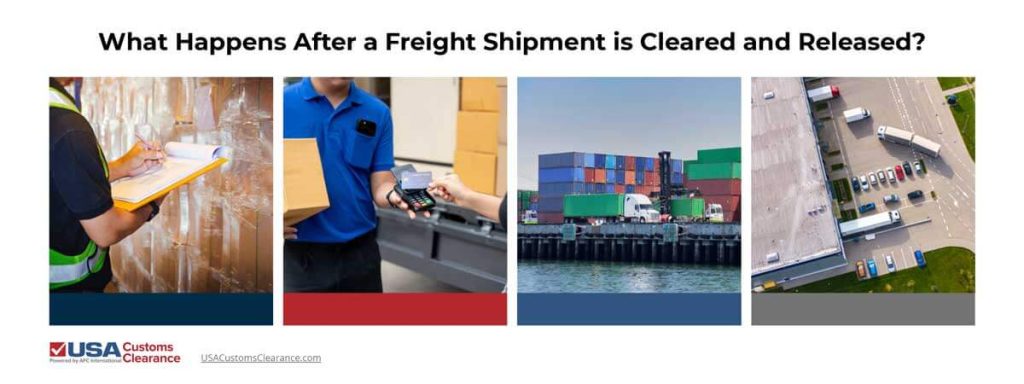 An infographic titled "what happens after a freight shipment is cleared and released" showing paper work being signed, money changing hand, a drayage truck with a container loaded and the truck pulling into a warehouse