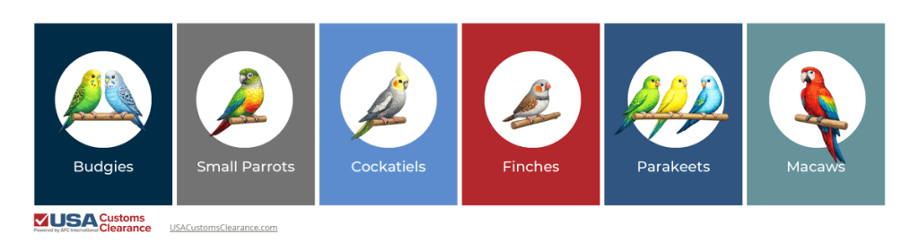 An image depicting images of several species of exotic birds. From left to right, the birds are:

Budgies

Small parrots

Cockatiles

Finches

Parakeets

Macaws