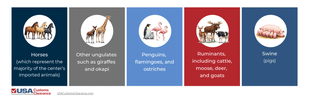 An image depicting several species of animals that can be quarantined at the APHIS Animal Import Center in New York. From left to right, the animals depicted are:
Horses (which represent the majority of the center’s imported animals)
Other ungulates such as giraffes and okapi
Penguins, flamingoes, and ostriches
Ruminants, including cattle, moose, deer, and goats
Swine (pigs)
